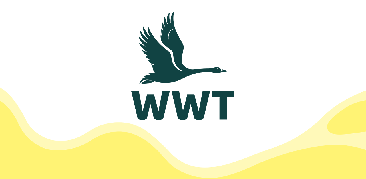 17 Vacancies - WWT